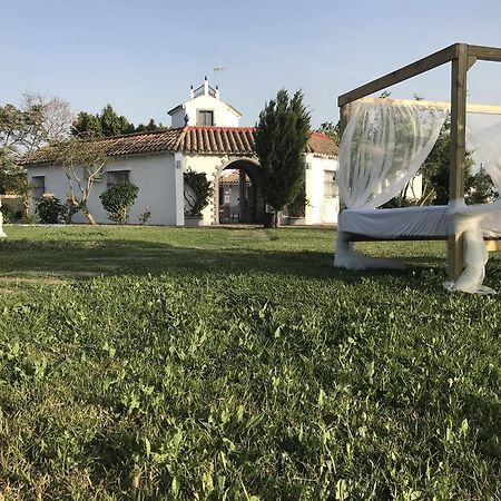 Amarna Conil Vendégház Conil De La Frontera Kültér fotó